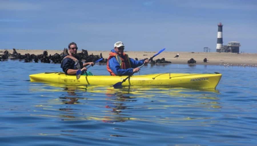 Walvis Bay: Pelican Point Kayaking Tour - Why Pelican Point Is a Different Kind of Kayak Tour