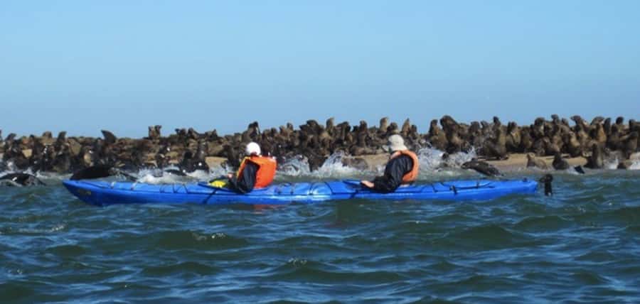 Walvis Bay: Pelican Point Kayaking Tour - Reaching the Tip: Lighthouse and Old Shipwreck Photo Stops