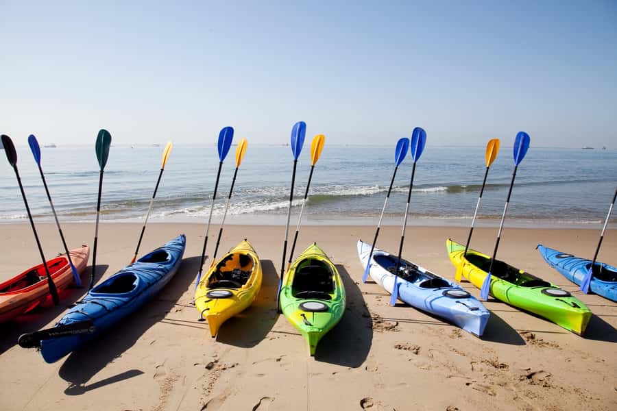 Walvis Bay: Pelican Point Kayaking Tour - Breakfast and Coffee: The Payoff After You’ve Been in the Wind