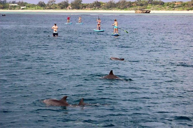 Watamu Marine Park & Sudi Island Mangrove Forest Canoe Ride.With sea food lunch - Seafood lunch with soda and bottled water: real fuel, beach vibes