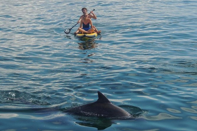 Watamu Marine Park & Sudi Island Mangrove Forest Canoe Ride.With sea food lunch - Dolphins in Watamu: timing is everything (Oct to Apr)