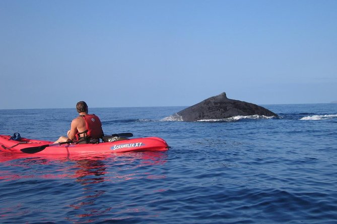 Waterfall Hike and Kayak Snorkel & Paddle from Makena - Who this tour is best for (and who should skip it)