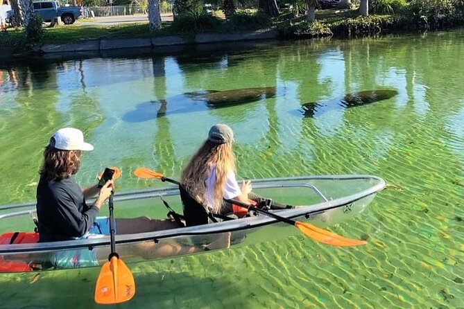 Weeki Wachee Clear Kayak Ecotours Manatee Season - November 14th-March 31st - Key things to know before you go