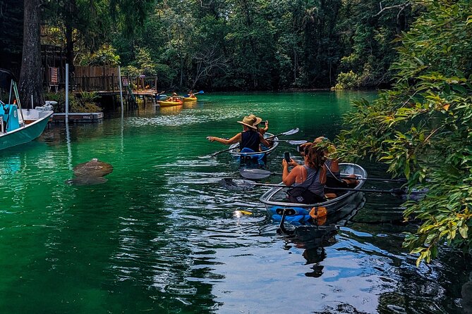 Weeki Wachee Clear Kayak Ecotours Manatee Season - November 14th-March 31st - Clear Kayaks + Manatee Season at Weeki Wachee