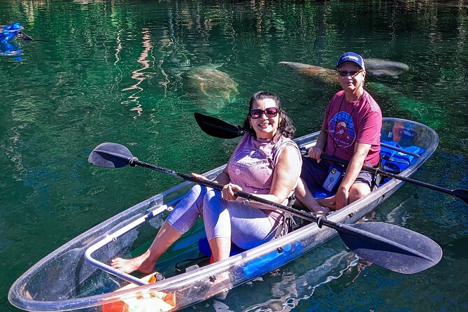Weeki Wachee Clear Kayak Ecotours Manatee Season - November 14th-March 31st - Why manatee encounters feel special here (and why they’re not guaranteed)
