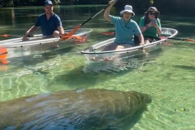 Weeki Wachee Clear Kayak Ecotours Manatee Season - November 14th-March 31st - The 2-hour flow: what happens from check-in to splash-down
