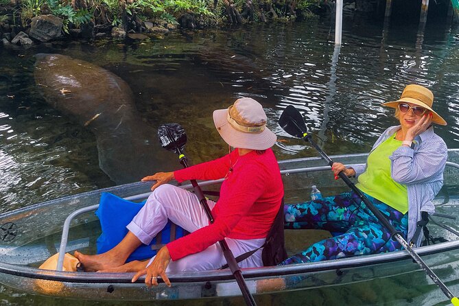 Weeki Wachee Clear Kayak Ecotours Manatee Season - November 14th-March 31st - Guides who set the tone (names you might hear)