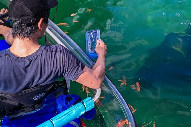 Weeki Wachee Clear Kayak Ecotours Manatee Season - November 14th-March 31st - What you get (and what you should bring)