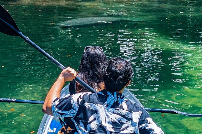 Weeki Wachee Clear Kayak Ecotours Manatee Season - November 14th-March 31st - Weather, wind, and why “clear” depends on the day