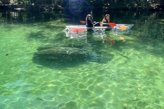 Weeki Wachee Clear Kayak Ecotours Manatee Season - November 14th-March 31st - Price and value: is $85 fair for this experience?