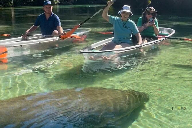 Weeki Wachee Clear Kayak Ecotours Manatee Season - November 14th-March 31st - The 2-hour flow: what happens from check-in to splash-down