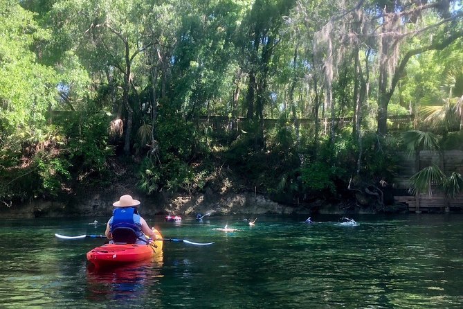 Wekiva River Guided Kayak Tour - Key Things I’d Pay Attention To