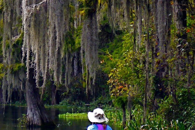 Wekiva River Guided Kayak Tour - Why the Wekiva Wild and Scenic River Is Worth Your Paddle