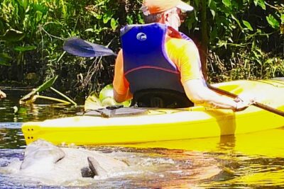 Wekiva River Guided Kayak Tour - Price and Logistics: What You Pay, What You Bring