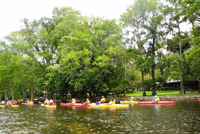 Wekiva River Guided Kayak Tour - Wildlife Spotting: What Your Guide Helps You See