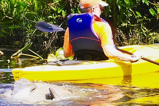 Wekiva River Guided Kayak Tour - Price and Logistics: What You Pay, What You Bring