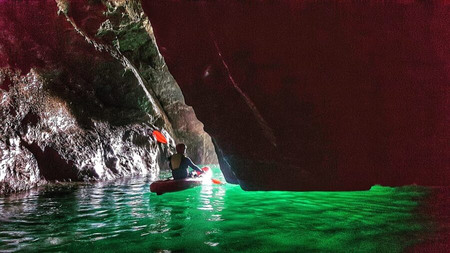 Wexford: Hook Peninsula Sea Cave Kayaking Experience - Wildlife sightings: dolphins, basking sharks, seals, and sea birds