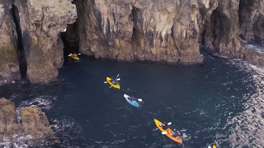 Whangamata: Donut Island Guided Kayaking Experience - Key highlights you should care about