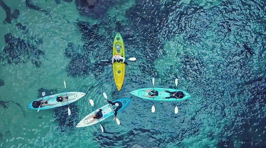 Whangamata: Donut Island Guided Kayaking Experience - The 2-hour rhythm: what happens from start to finish