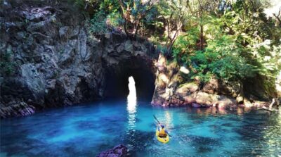 Whangamata: Donut Island Guided Kayaking Experience - The wildlife sanctuary mindset: you’re not just sightseeing