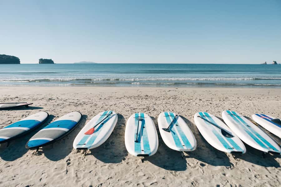 Whangamata: Donut Island Guided Kayaking Experience - Gear and comfort: wetsuit, dry bag, and what to bring anyway