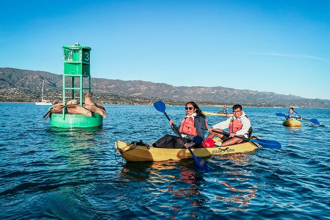 Wildlife Kayak Tour in Santa Barbara Harbor (2 Hours) - Your 2-hour route: Stearns Wharf to the waterfront