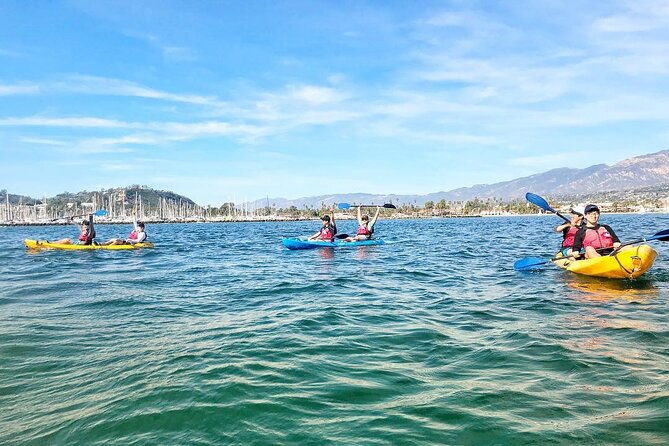Wildlife Kayak Tour in Santa Barbara Harbor (2 Hours) - Price and value: what you’re really paying for
