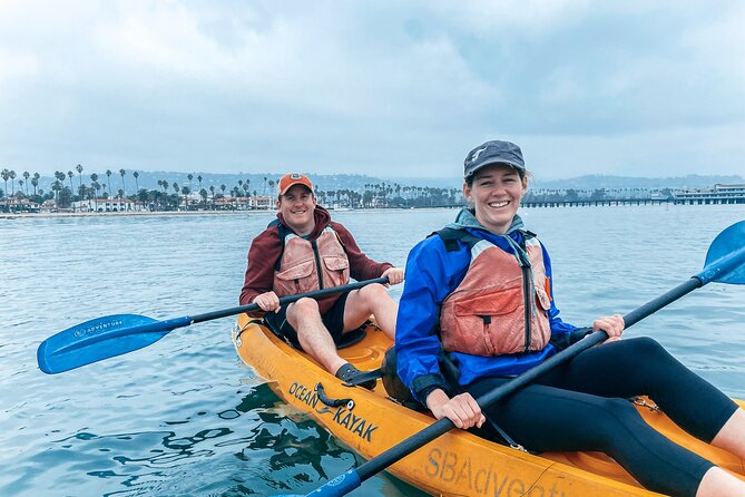 Wildlife Kayak Tour in Santa Barbara Harbor (2 Hours) - Wildlife you can spot from a kayak (and what to watch for)