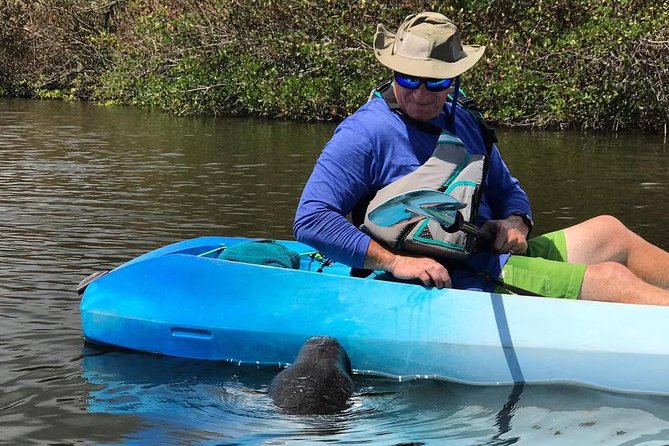 Wildlife Refuge Manatee, Dolphin & Mangrove Kayak or Paddleboarding Tour! - Wildlife Expectations: Manatees, Dolphins, Birds, and the Small Stuff