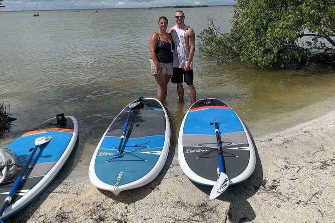 Wildlife Refuge Manatee, Dolphin & Mangrove Kayak or Paddleboarding Tour! - Timing, Weather, and the Manatee Season Bonus