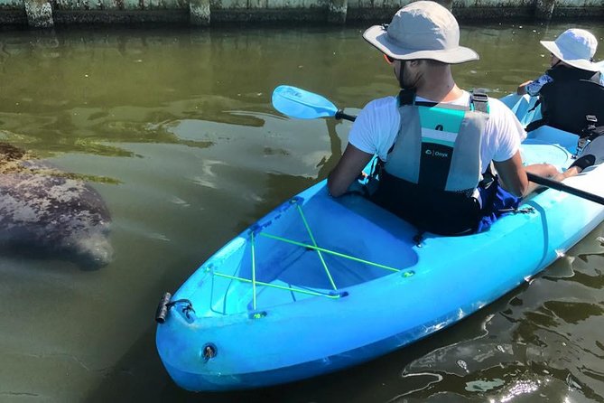 Wildlife Refuge Manatee, Dolphin & Mangrove Kayak or Paddleboarding Tour! - Kayak or Paddleboard: Picking What Fits Your Body (and Your Day)