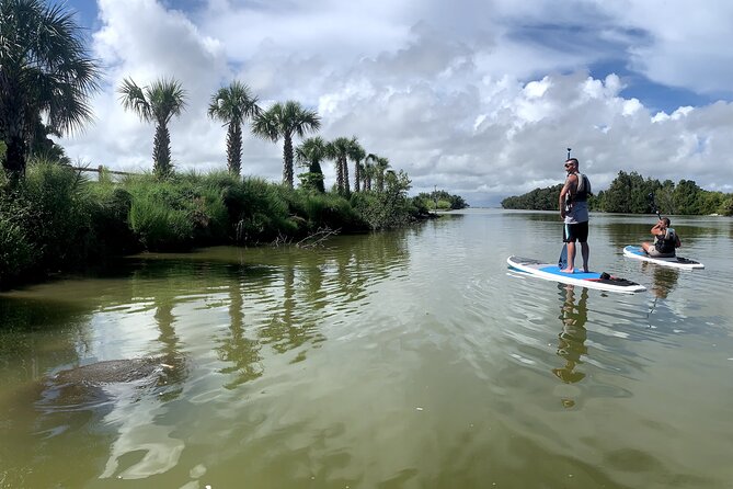 Wildlife Refuge Sunset Dolphin, Manatee & Mangrove Kayak or Paddleboarding Tour! - Key things to know before you go