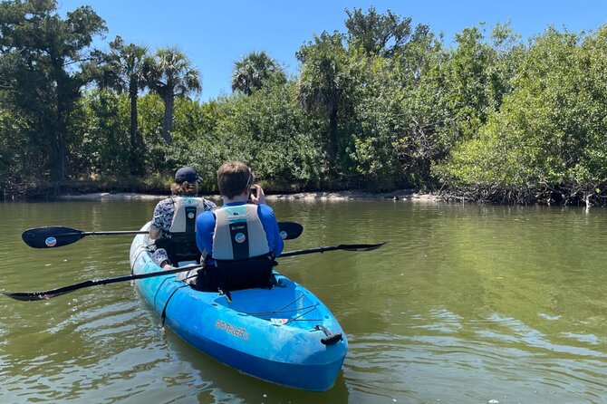 Wildlife Refuge Sunset Dolphin, Manatee & Mangrove Kayak or Paddleboarding Tour! - Dolphins and manatees: your best odds and how to actually spot them