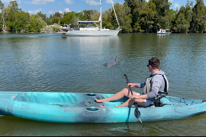Wildlife Refuge Sunset Dolphin, Manatee & Mangrove Kayak or Paddleboarding Tour! - Sunset viewing: why timing changes everything here