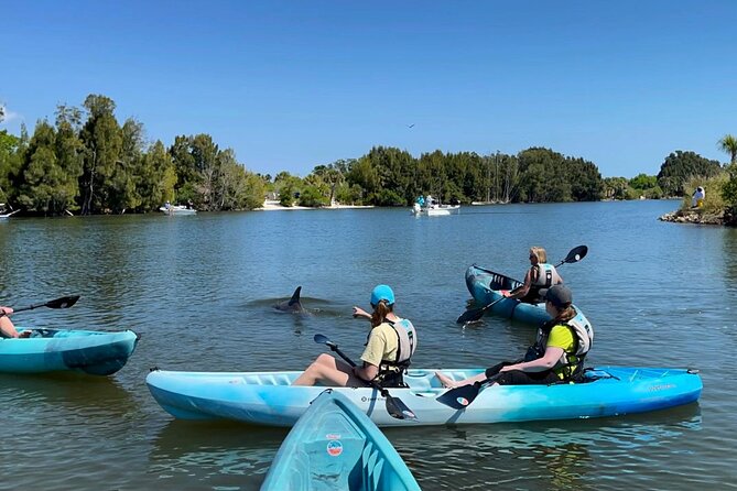 Wildlife Refuge Sunset Dolphin, Manatee & Mangrove Kayak or Paddleboarding Tour! - Picking kayak vs SUP: which fits your comfort level