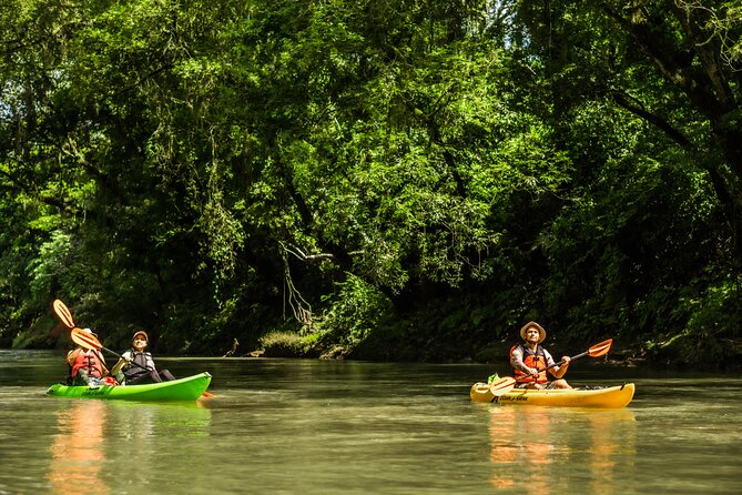 Wildlife Safari Float by Kayak in Peñas Blancas River from Arenal - What You Actually Get (and What You Should Bring)