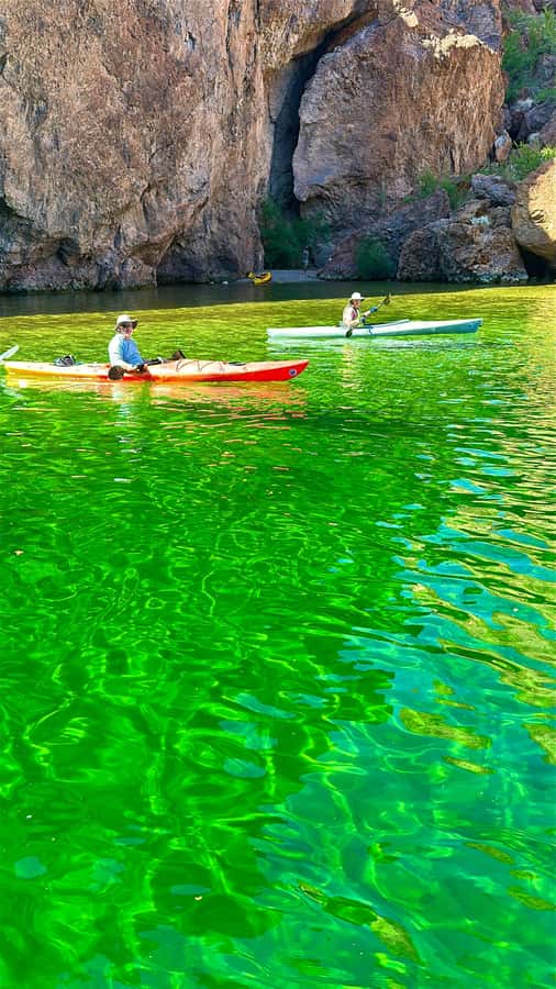 Willow Beach: 5 Coves & 2 Caves Emerald Cave Kayaking Tour - Wildlife and trout sightings: what to watch for (and what not to stress about)
