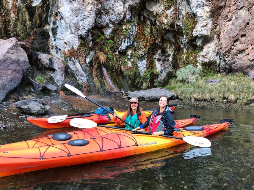 Willow Beach: Black Canyon Kayak Half Day Tour-No Shuttle - Wildlife spotting on cue: desert sheep, bald eagles, and coyotes