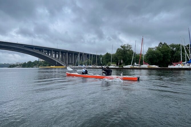 Winter Kayak Tour in Stockholm City (Dry Suit Kayaking) - Pace, group size, and who this tour fits best