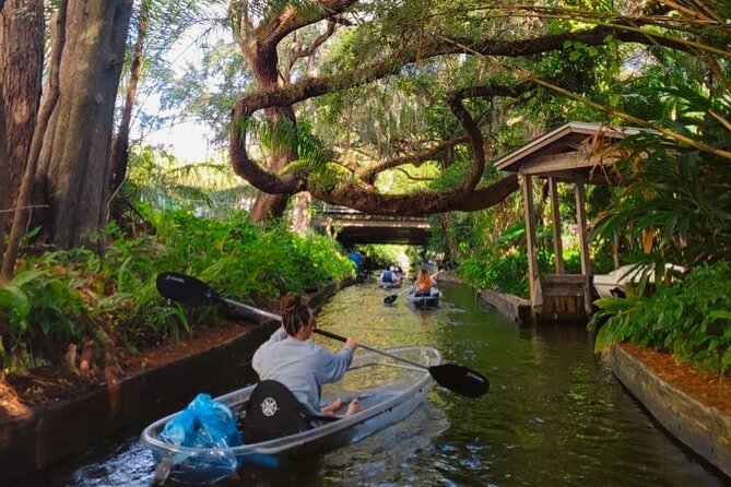 Winter Park Chain of Lakes Day Time Clear Kayak Paddle - What the Guide Actually Does (And Why It Changes the Trip)