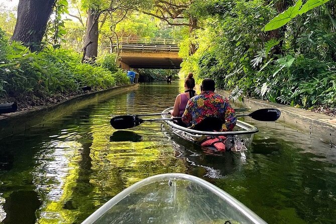 Winter Park Chain of Lakes Day Time Clear Kayak Paddle - Picking the Right Departure Time: Why Mornings Get Mentioned