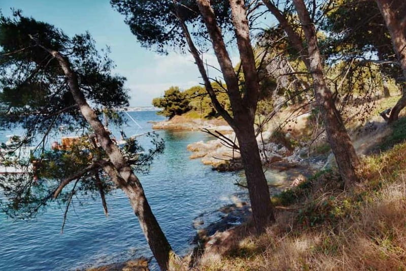 Zadar: Island cruise with drinks, snorkeling and kayaking - Snorkeling in the Adriatic: what to do for good visibility