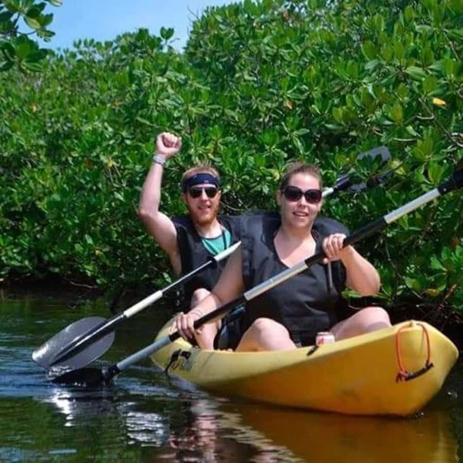 Zanzibar: 3-hour Kayak Tour through the Mangrove Forest - Key Highlights I’d Put on Your Must-Do List