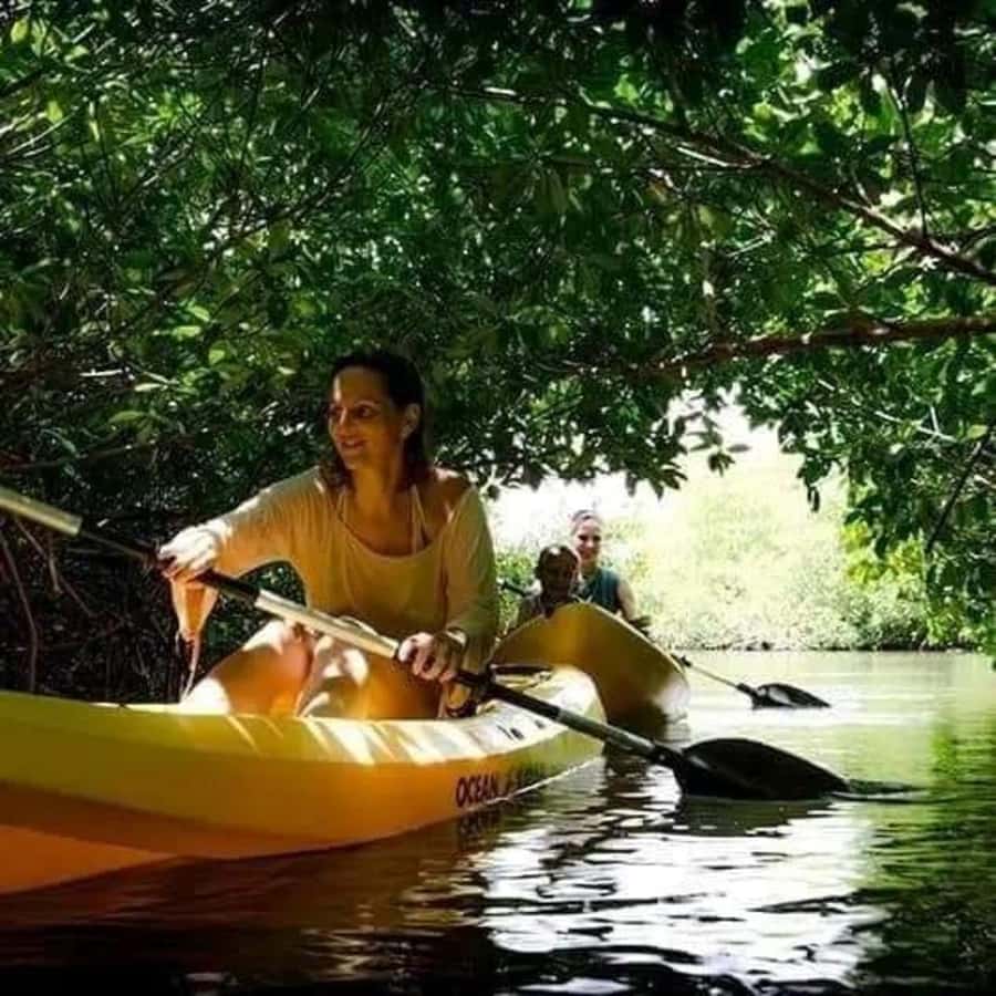 Zanzibar: 3-hour Kayak Tour through the Mangrove Forest - Getting Started at Unguja Ukuu Kae Pwani
