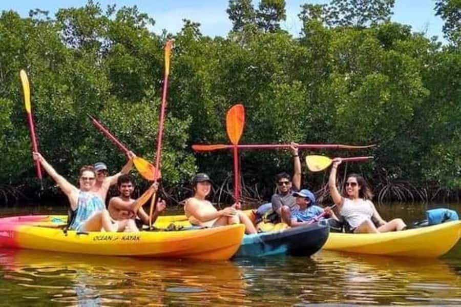 Zanzibar: 3-hour Kayak Tour through the Mangrove Forest - The Main Event: Kayaking Through the Mangroves