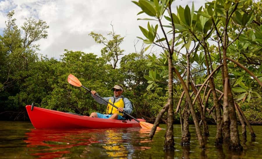 Zanzibar: 3-hour Kayak Tour through the Mangrove Forest - Safety Briefing and Kayak Comfort Before You Push Off
